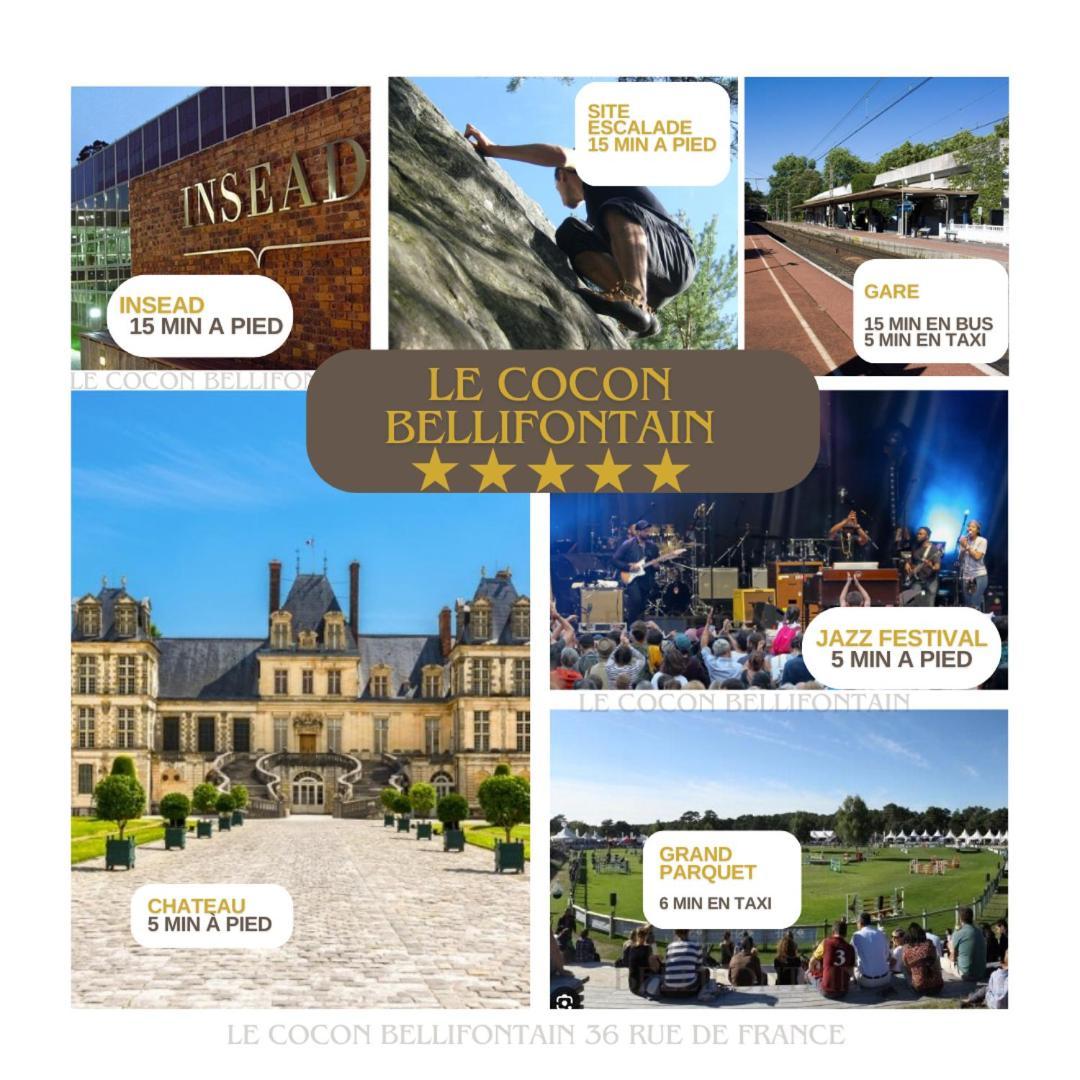 Le Cocon De Fontainebleau - Centre-Ville, Proche Insead & Chateau Extérieur photo