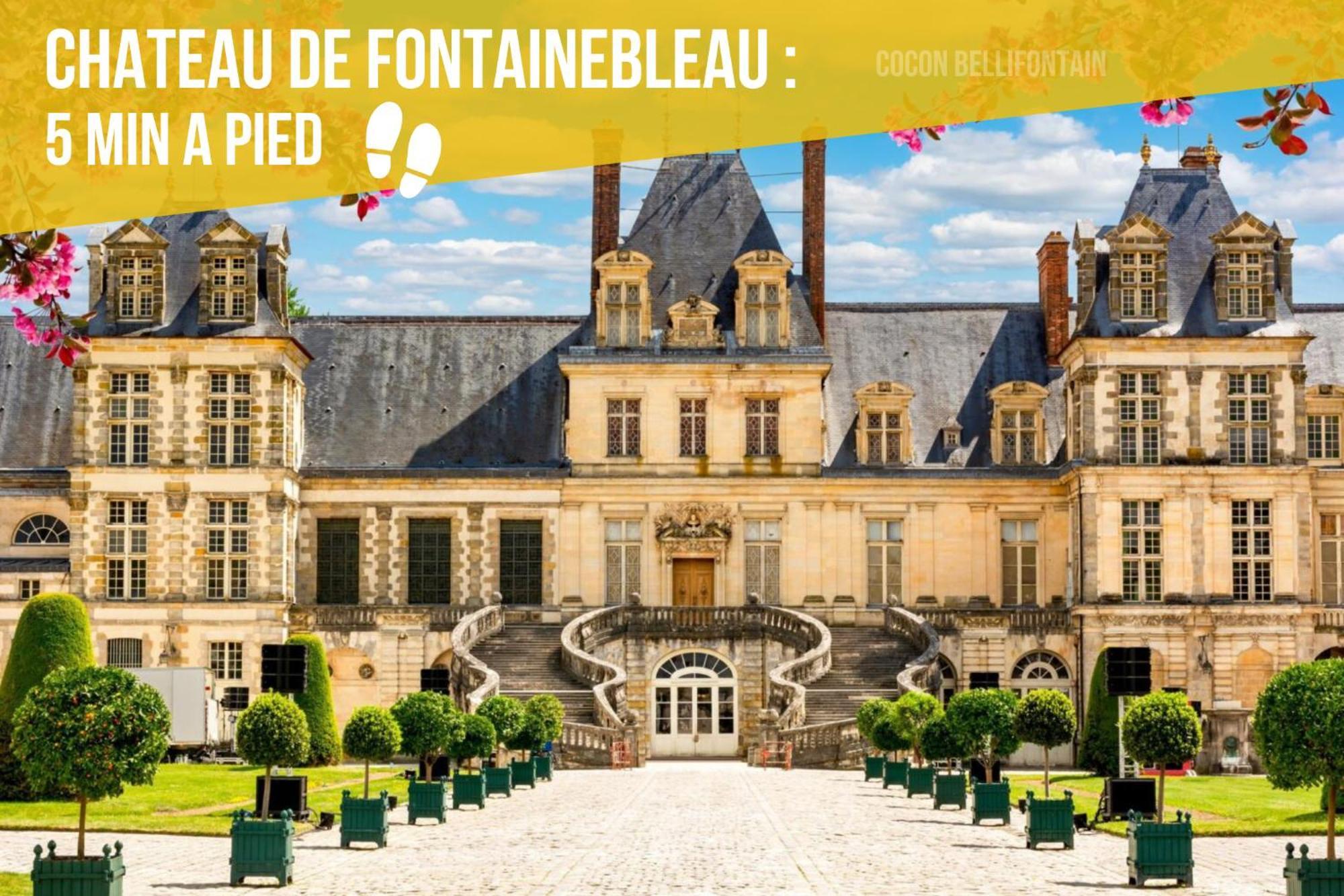 Le Cocon De Fontainebleau - Centre-Ville, Proche Insead & Chateau Extérieur photo